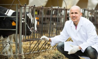 EBVM: Five Good Questions For One Good Answer