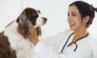 EBVM Boosts Animal Health In Everyday Consultations