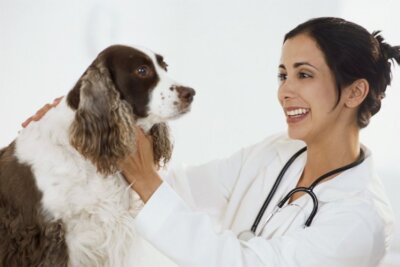 EBVM Boosts Animal Health In Everyday Consultations