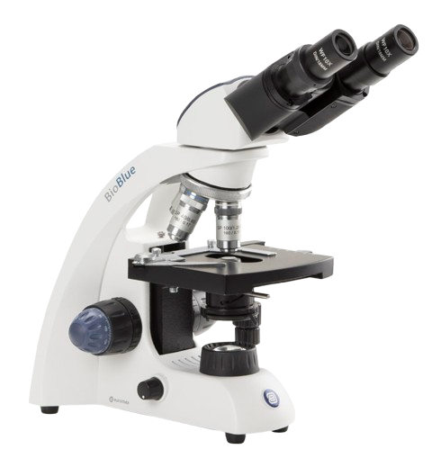 The Euromex BioBlue Binocular