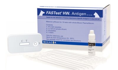 Simple D.Immitis Test Key To Early Heartworm Diagnosis