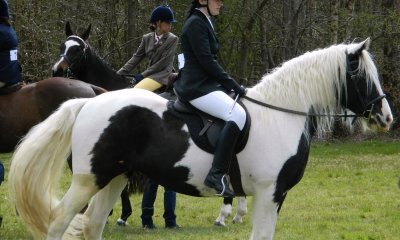 Survey of Horses and Owners Shows Importance of FEC Monitoring