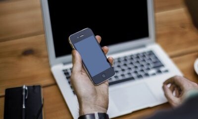 Online And Social Media Ads Drive ‘Impulse Buy’ Pet Purchases