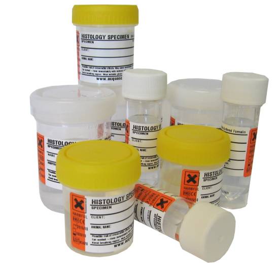 What Makes A Great Vet Lab Vetlab Supplies Ltd