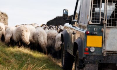 Resistance Is Useless: Antimicrobials– Awareness, Behaviour and Diagnostics