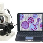 SP22D LED Microscope With Camera