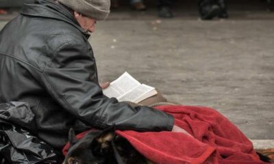 StreetVet Homeless Pets Charity