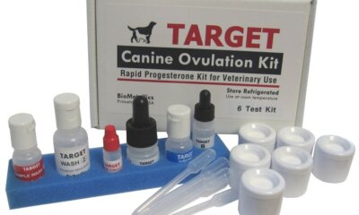 Cost Effective Canine Ovulation