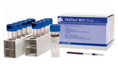 What is Bovine Coronavirus (BCV)?