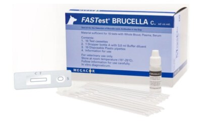 Canine Infertility and Abortion – Keeping Brucella Canis in Check