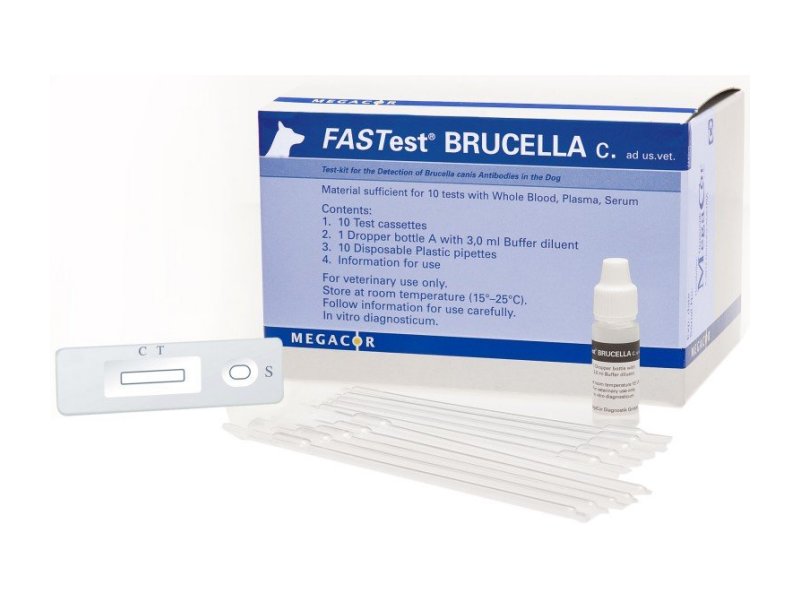 Fastest Brucella Canis Diagnostic Test Kit Vetlab Supplies Ltd