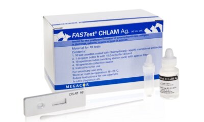 Chlamydiosis Diagnosis in Cats, Dogs and Birds