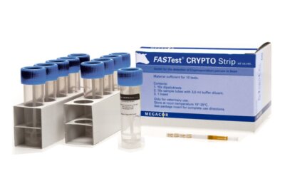 Why FASTest Diagnostic Tests Are The Best For Your Vet Practice