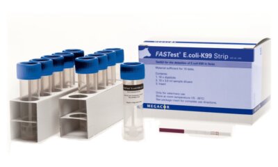 Diarrhoea in New Born Calves Has Many Causes, But Which Do You Treat?