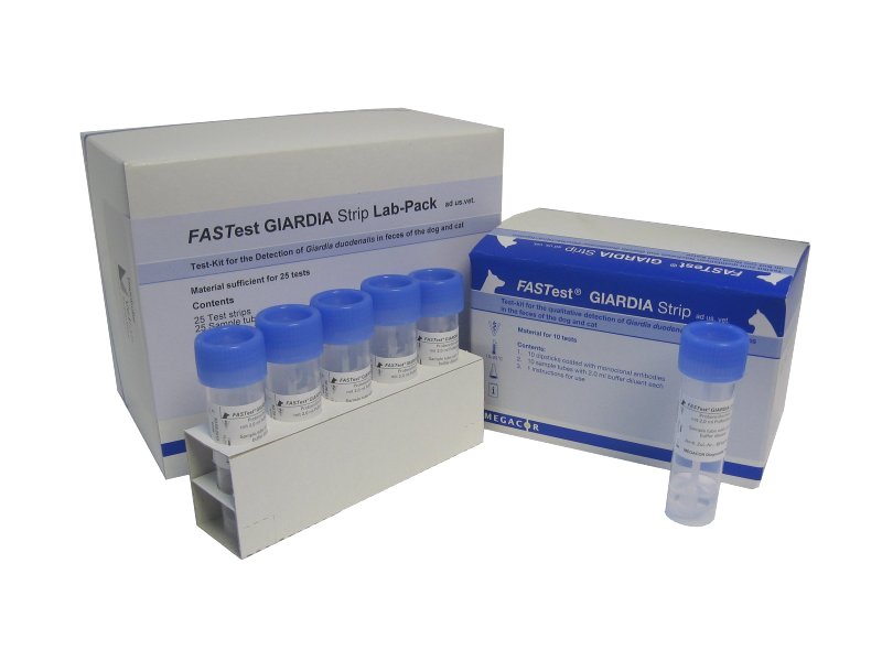 FASTest Giardia Diagnostic Test Kit Vetlab Supplies Ltd FASTest Giardia Diagnostic Test Kit Vetlab Supplies Ltd