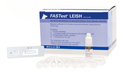 You Say Leishmaniosis, I Say Leishmaniasis…