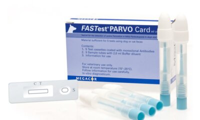 Combatting Puppy Farming and the Infectious Diseases they Spread